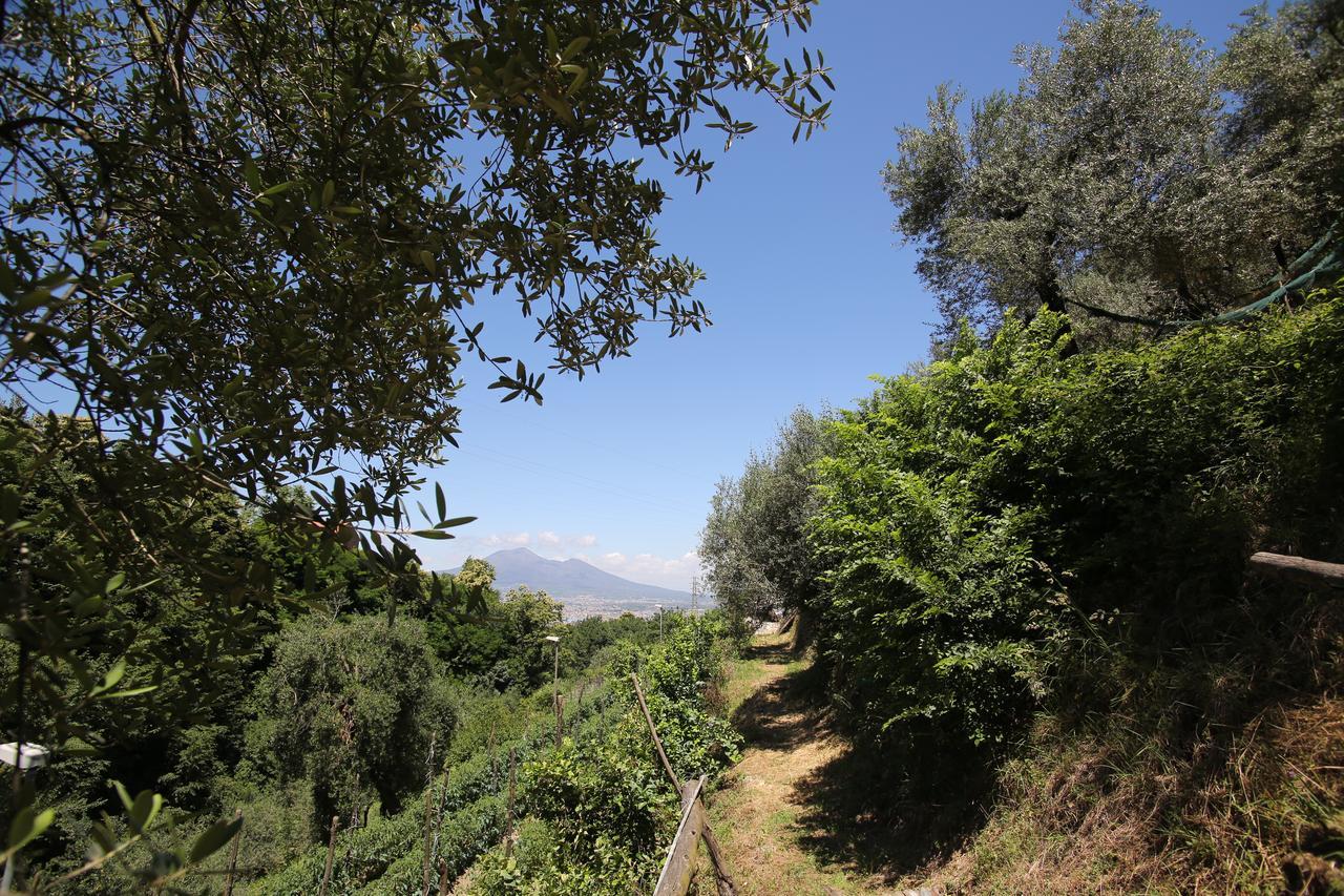 Villa Catie Castellammare di Stabia Luaran gambar
