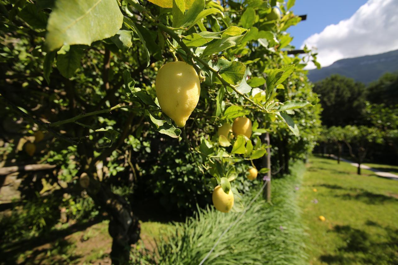 Villa Catie Castellammare di Stabia Luaran gambar